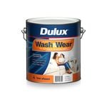 Interior Wall Paint