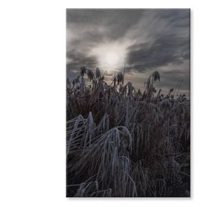 Winter Wonderland Landscape  Print 100% Australian Made 100 x 150cm  (Stretched)