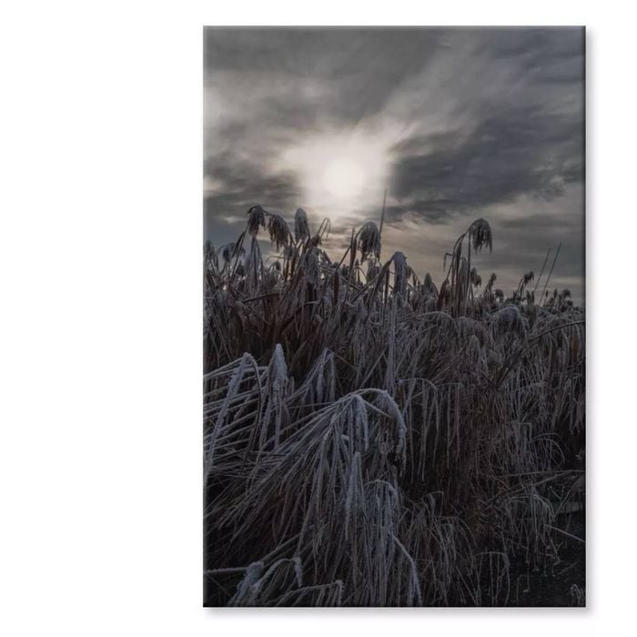 Winter Wonderland Landscape  Print 100% Australian Made 100 x 150cm  (Stretched)