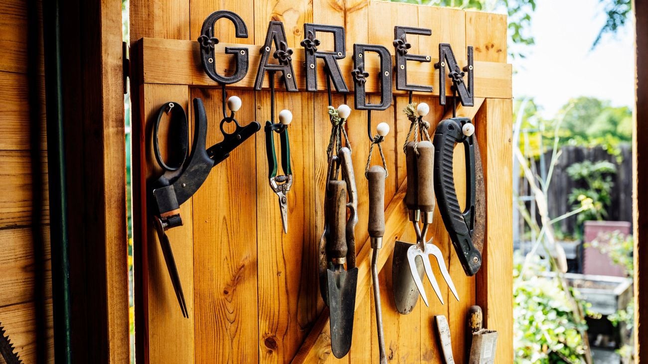 Garden tools hanging in shed