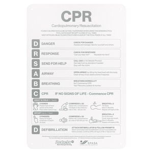 ProtectorAl 387 x 565mm Pal Silver CPR Chart