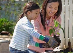 Lady and young girl in the garden together planting edible plants