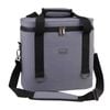 Sachi Insulated Intrepid Cooler Bag 10l