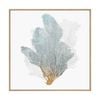 Artey | Delicate Coral II - Framed Canvas - Natural Frame - 64 x 64cm
