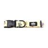 Stubby Club Sesame Street Lightweight Nylon Pet Dog Collar Accessory Small