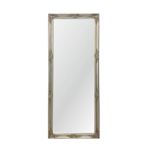 Elegant Collections Antique Champagne Medium Mirror – French Provincial