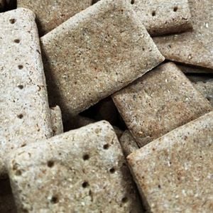 Blackdog 4x2 Biscuit Low In Fat High Antioxidants Pet Dog Treats 10kg