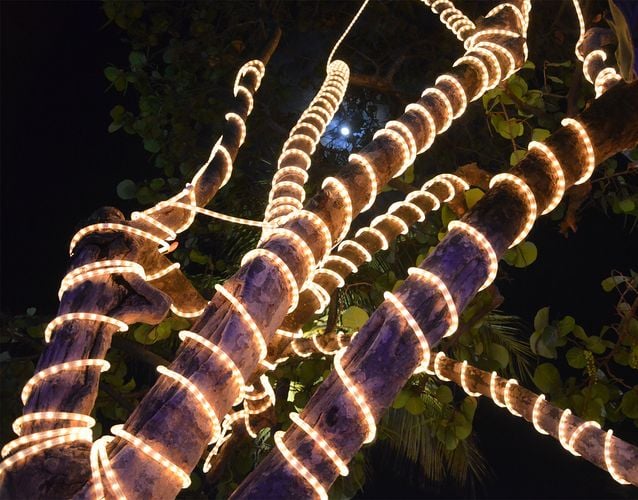 Large tree's branches covered in neon flexible lighting
