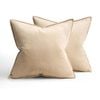 Catzon 2 Pcs Decorative Velvet Throw Pillow Covers Soild for Home Car 45X45cm-Beige