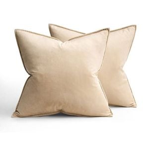 Catzon 2 Pcs Decorative Velvet Throw Pillow Covers Soild for Home Car 45X45cm-Beige