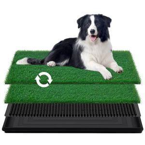 Advwin Dog Pet Potty Training Portable Toilet
