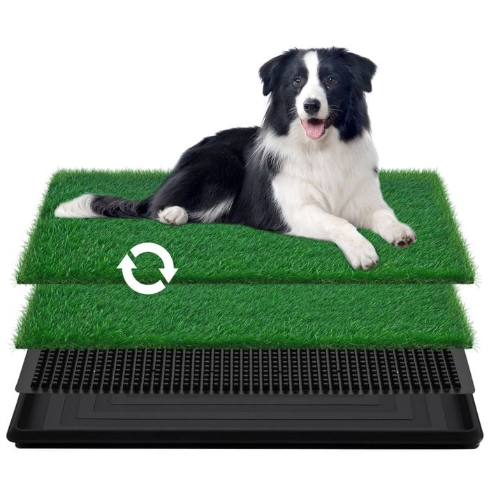 Advwin Dog Pet Potty Training Portable Toilet