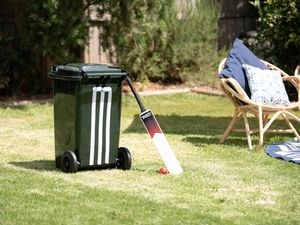 Image of completed pitch with a wheelie bin and bat with ball