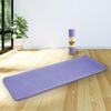 Powertrain Blue TPE Yoga Exercise Mat Home Gym Pilates Fitness 8mm