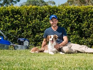 A man with his dog, and a mower, sit on the backyard in the sun.