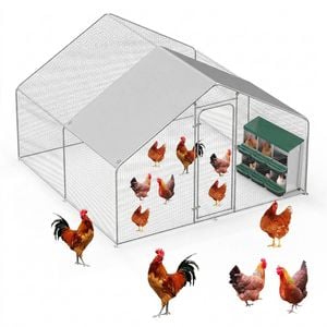 Advwin Large Dome Walk-in Chicken Coop with 6-Hole Nesting Box for Backyard Poultry