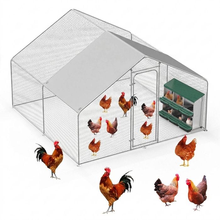 Advwin Large Dome Walk-in Chicken Coop with 6-Hole Nesting Box for Backyard Poultry