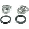 Front Wheel Bearing For Holden Astra Nissan Exa Pulsar N10 N12 Prairie S-cargo