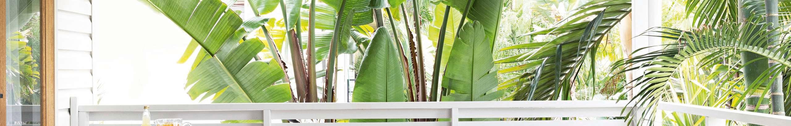 Outdoor setting on verandah with plants, bar cart and table