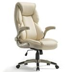 Eureka OC11 Ergonomic Office Chair - WHITE