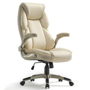 Eureka Office Chair OC11 Ergonomic - WHITE