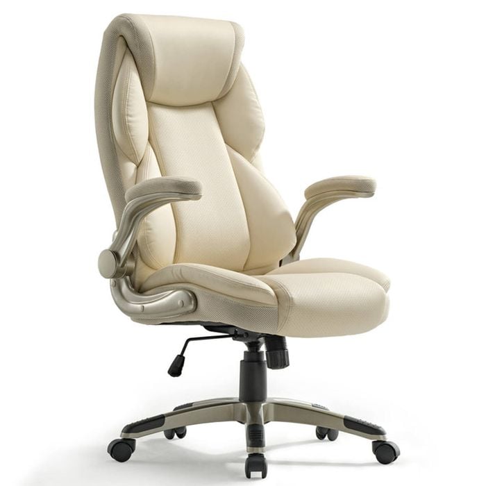 Eureka Office Chair OC11 Ergonomic - WHITE