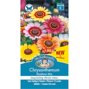 Mr Fothergill's Seed Chrysanthemum Rainbow Mix