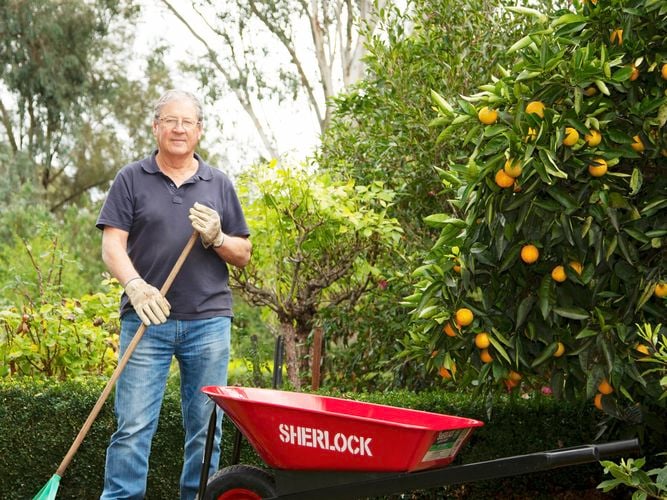  Person gardening with rake and wheelbarrow
