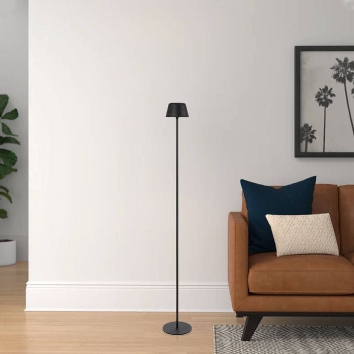 Telbix Black Briana Floor Lamp