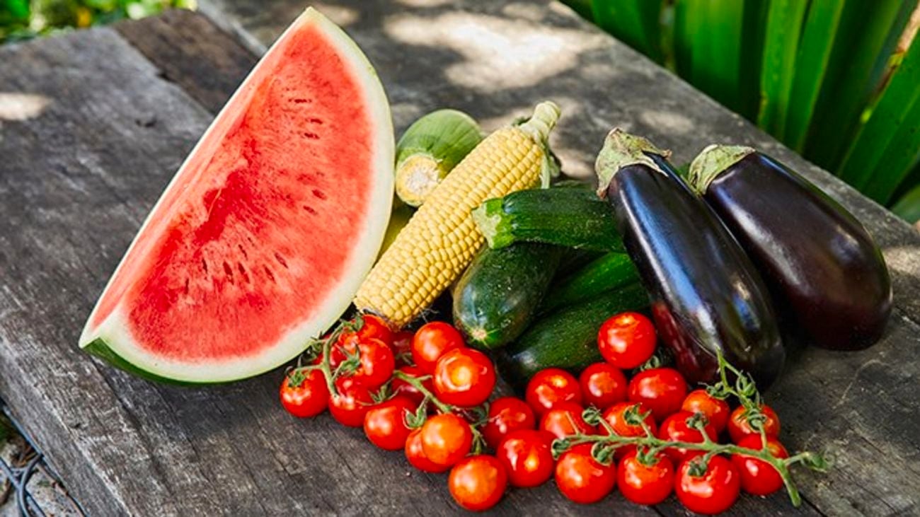 Watermelon, corn, tomatoes, zucchini and eggplants