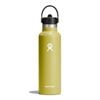 Hyrdo Flask Standard Mouth Straw Cap  621ml Insulated Bottle S/S Tumbler Cactus