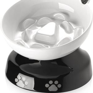 Y YHY Slow Feeder, Elevated Food Bowl Tilted Design for Dog and Cat for Dry and Wet Food