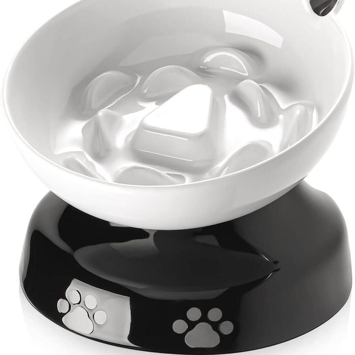 Y YHY Slow Feeder, Elevated Food Bowl Tilted Design for Dog and Cat for Dry and Wet Food