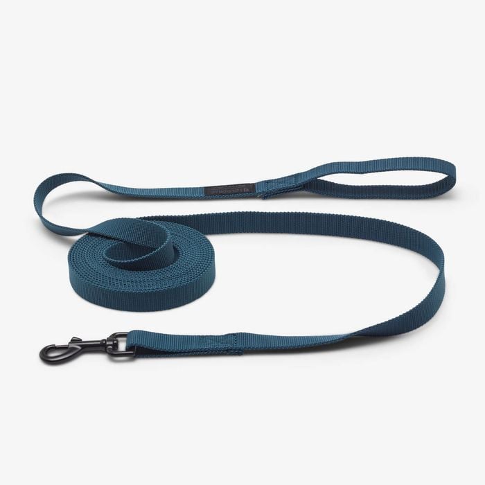 Decathlon | Dog Longline Lead 5 M Blue 100 - One Size