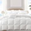 Dreamz 500GSM All Season Goose Down Feather Quilt Single