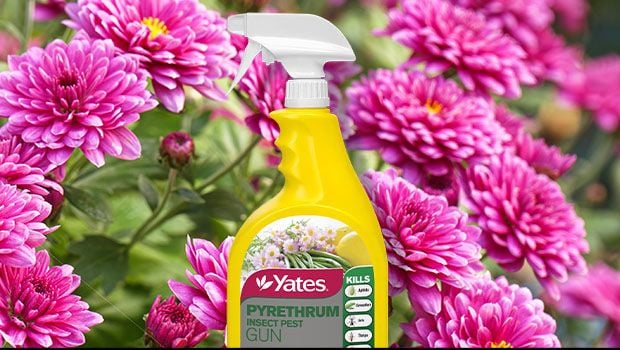 yates spray