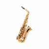 Axiom Concerto Series Alto Sax Outfit