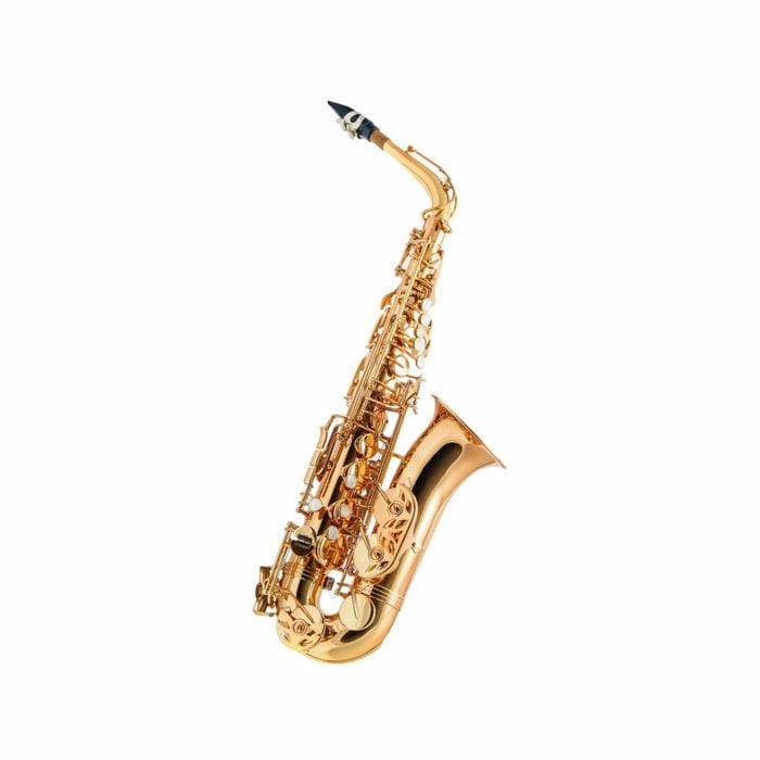 Axiom Concerto Series Alto Sax Outfit