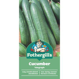 Fothergill's Cucumber Telegraph Seeds