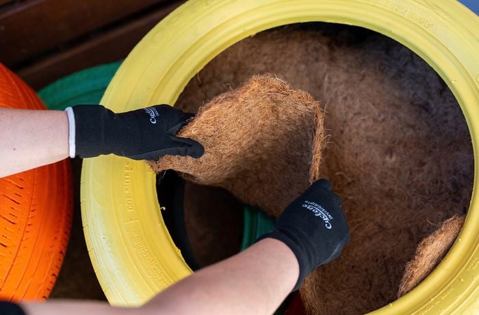 A person wearing gardening gloves is placing a coconut fibre liner inside a brightly painted tyre outside.