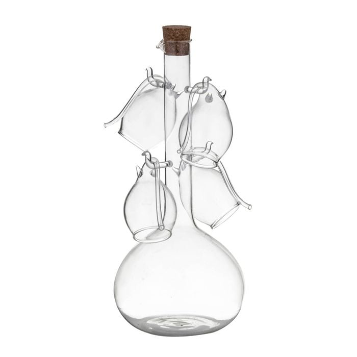 5pc Davis & Waddell Fine Foods Port Flask/Sippers Set Flask 60ml/800ml