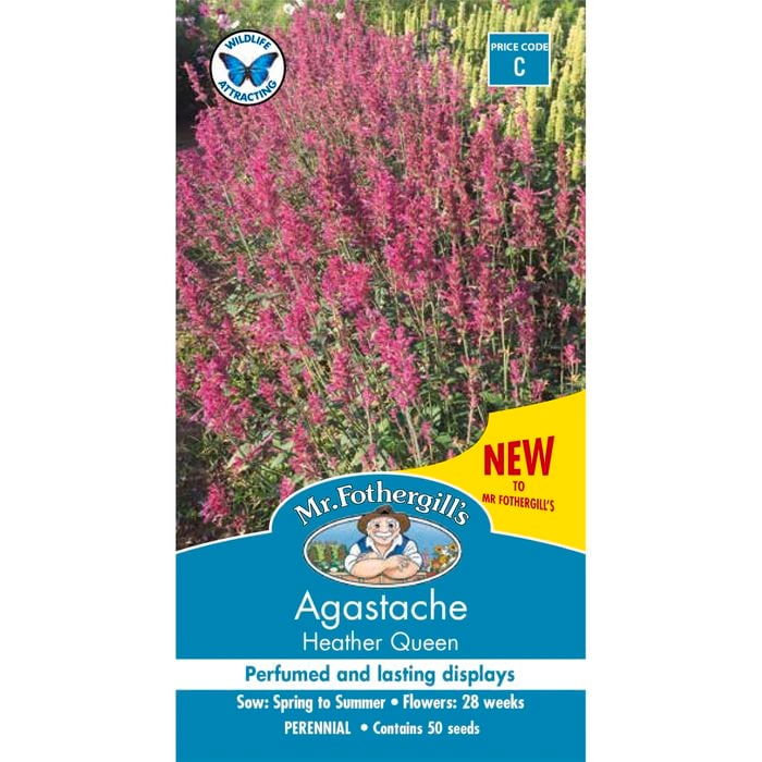 Mr Fothergill's Agastache Heather Queen
