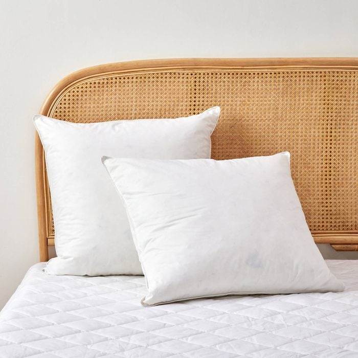 Dreamaker Goose Feather And Down Pillow Twin Pack - Euro