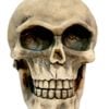 Aqua One Skull (l) Ornament (37126)