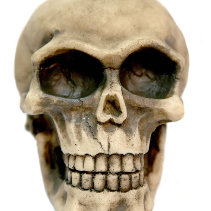 Aqua One Skull (l) Ornament (37126)