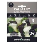 Bloomin' Bulbs Platinum Calla Lily Black And White - 3 Pack
