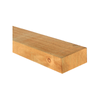 100 x 50mm x 6m H3.2 Fence Rail