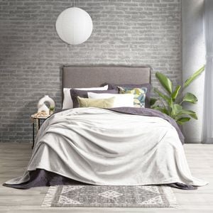 Renee Taylor Plush Queen/King Blanket 380GSM Ultra Soft Velvet Silver Line