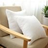 CottonMore A Pair of Aus Made Cotton Cover/Polyester Filling Euro Square Cushion Pillow Inserts 65x65cm