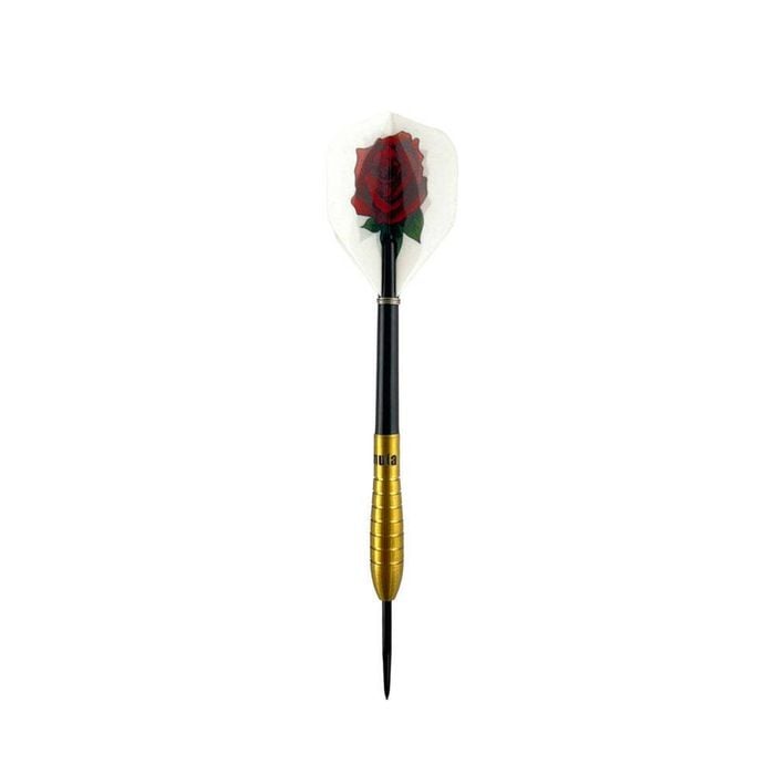 12pc Formula Sports 25g Tony David 90% Golden Tungsten Darts w/ Case